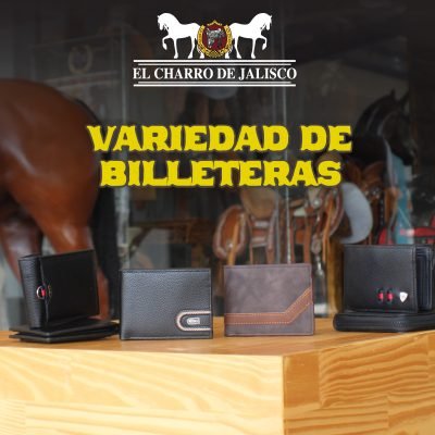 Artes y fotografía para El Charro de Jalisco